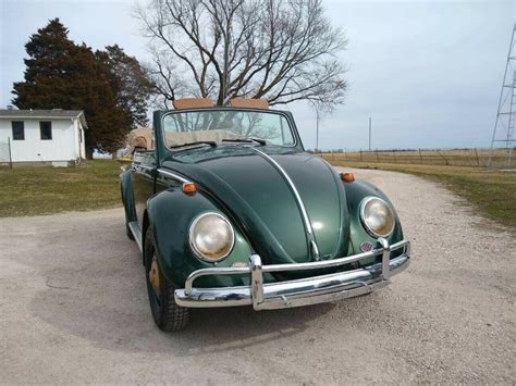 1964 Vw Volkswagen Beetle Convertible Classic Fully Restored Low Miles