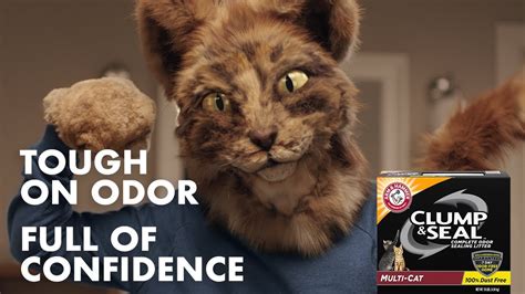 Arm And Hammer Clump And Seal Cat Litter 2019 Tv Ad 15 Sec Youtube