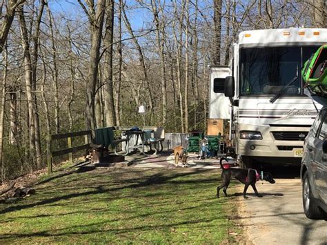 Launching ramps, tent and cabin camping available. Elk Neck State Park Campground - UPDATED 2017 Reviews ...