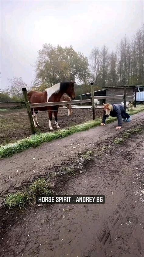Priceless Horse Reaction 😅😅 By 🎥 Andreyb6 Horse Photos Horses