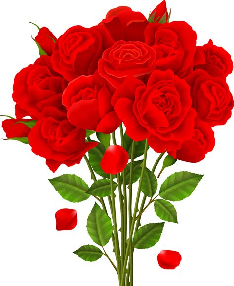 Flower Png Images Rose Flower Pictures Beautiful Flowers Photos Rose