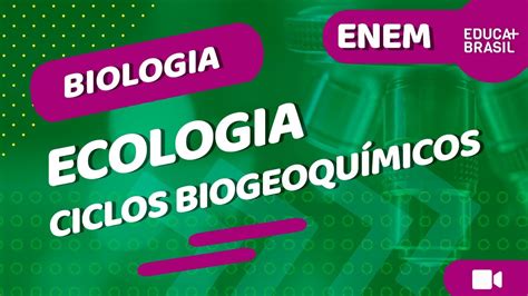 Biologia Ecologia Ciclos Biogeoquímicos Enem Youtube