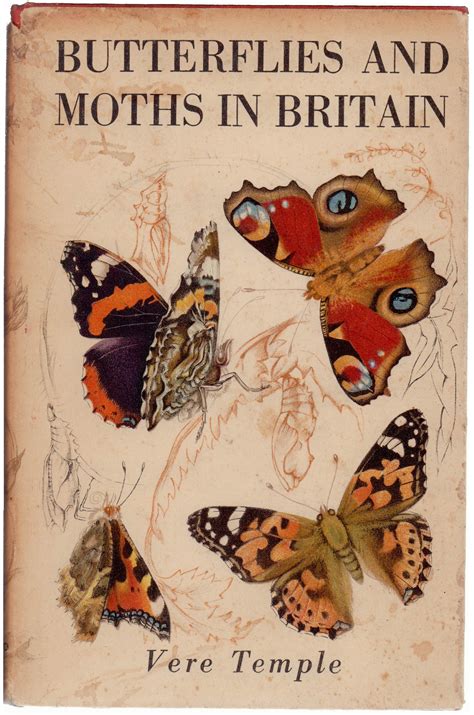 Butterflies And Moths In Britain Ebay