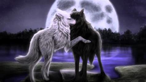 Anime Wolf Wallpapers 77 Images