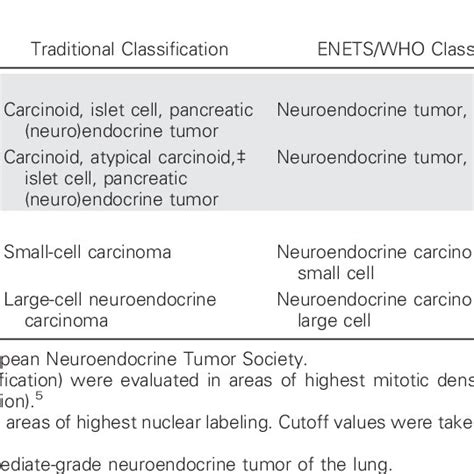 Nomenclature And Classification Of Neuroendocrine Tumors Download Table