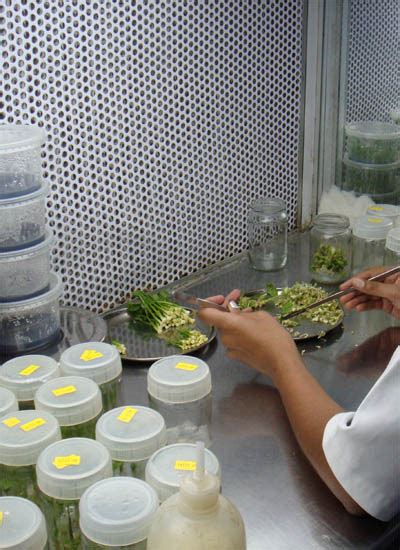 Plant Tissue Culture Laboratory Equipments