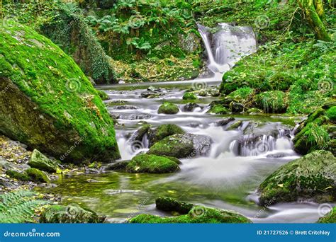 Forest Stream Stock Photo Image Of Green Rocks Waterfall 21727526