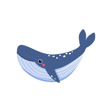 Cute Baby Whale Swimming Underwater Funny Summer Sea Animal Vector