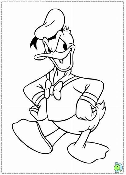 Donald Duck Coloring Chapeu Dinokids Disney Aniversario