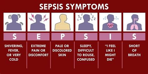 10 Causes Of Sepsis And How To Treat Them Lifedaily