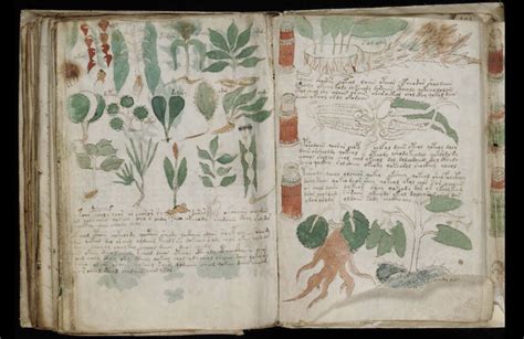 Voynich Manuscript Undeciphered Medieval Book Historic Mysteries