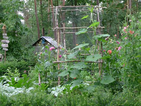 Je Eigen Moestuin Hot Sex Picture