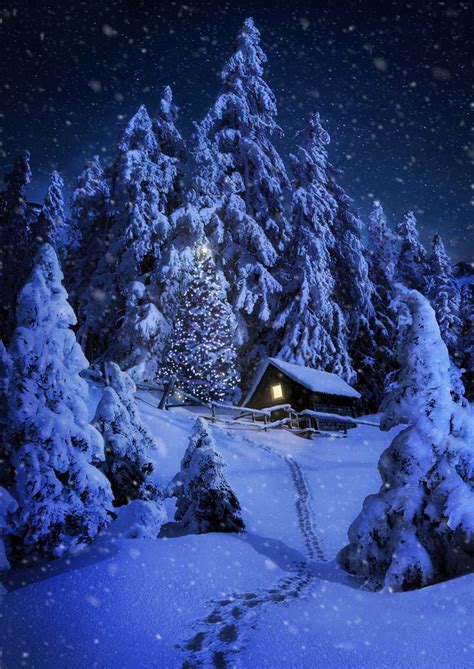 2373 Best Images About Winter Wonderland On Pinterest Winter