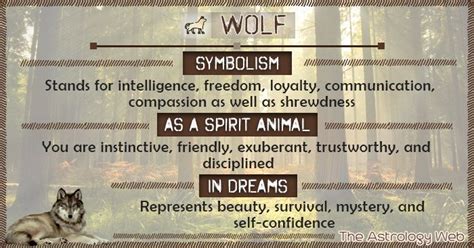 Wolf Spirit Animal Meaning White Black Lone Wolf What Does It Mean