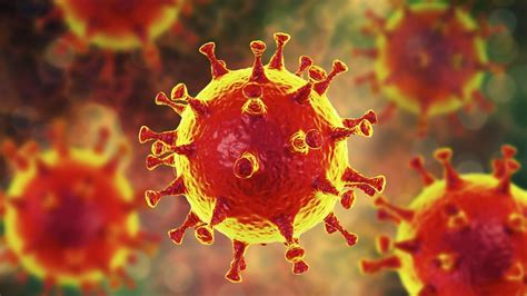 Coronavirus Ce Que L On Sait Du Tueur En Questions Les Echos