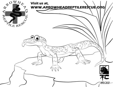 Crested Gecko Coloring Sheet Coloring Pages