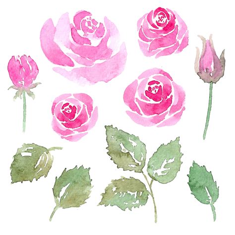 Watercolor Rose Flower Element Set 426857 Vector Art At Vecteezy