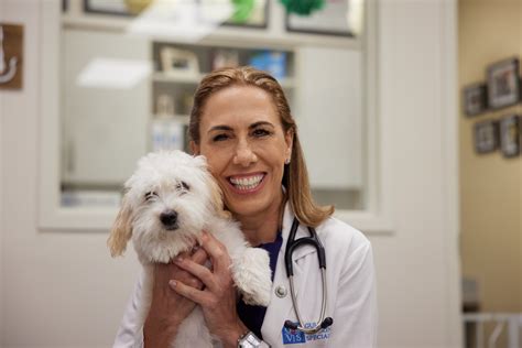 Oncology - Gulf Coast Veterinary Specialists