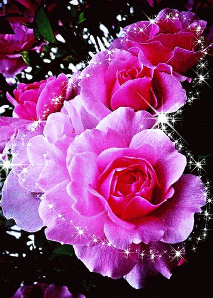Artistic Flower Flowers Gif In Flowers Gif Beautiful Rose Flowers Flowers