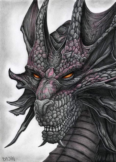 Free 21 Realistic Dragon Drawings In Ai