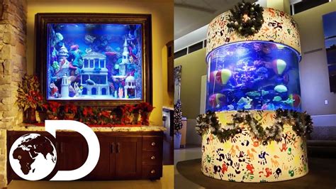 The Ultimate Christmas Fish Tanks Tanked Youtube