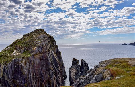 Where To See Puffins In Newfoundland Canada Travel Bliss Now