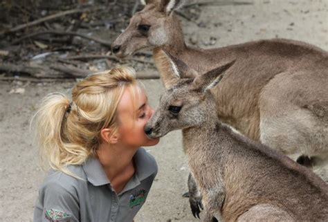 Wildlife Volunteer Australia: Volunteer with animals in Oz