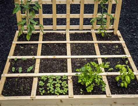 Square Foot Gardening For Small Spaces