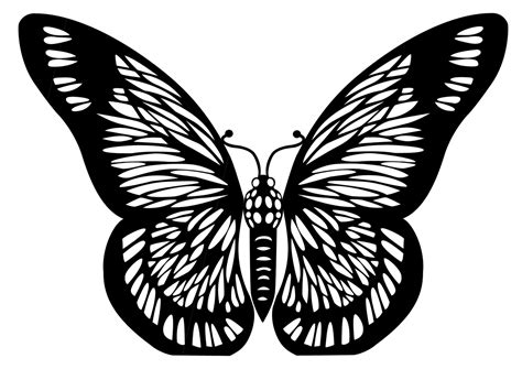 Butterfly Cut Out Black And White Clip Art Library