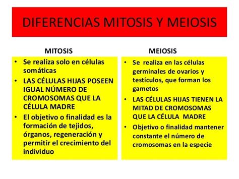 Diferencias Entre Mitosis Y Meiosis Cuadro Comparativo
