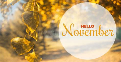 Hello November Greeting Card Autumn Concept Composition In Park