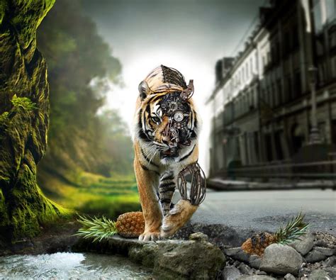 Animated Tiger Wallpaper Wallpapersafari