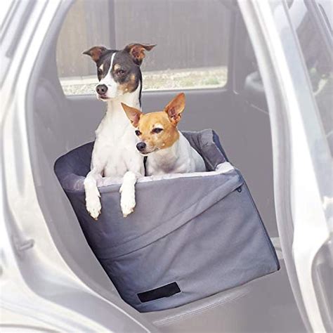 Dog Car Seat For Two Dogs Truck Dash Cam