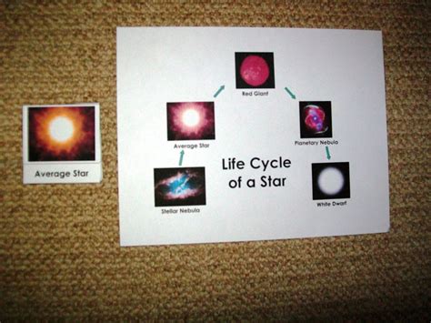 Worksheet includes a word bank and is customizable. Astronomy Unit: Stars - Every Star Is Different