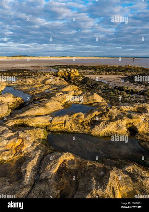 St Andrews West Sands Beach Fife Hi Res Stock Photography And Images