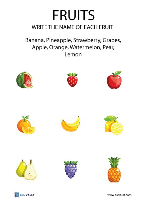 Fruit Vocabulary Matching Worksheet Hot Sex Picture