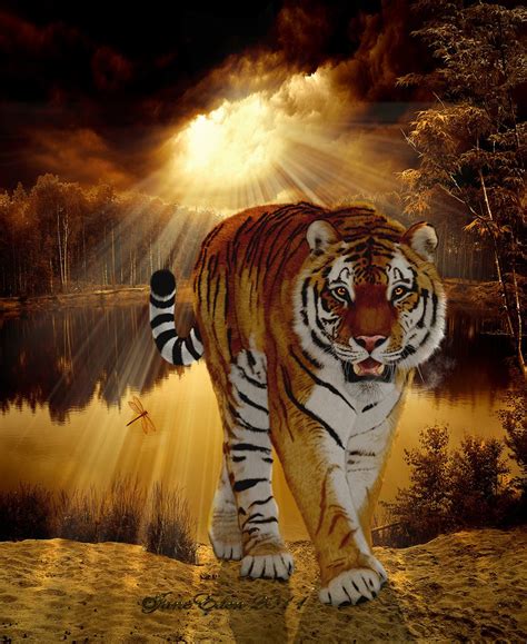 Siberian Tiger King Art Id 40698