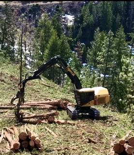 Tigercat Ls C Log Loader For Sale Dallas Or Are Equipment