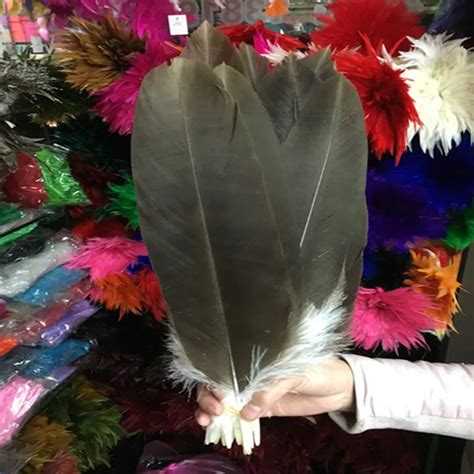 Beautiful 10 Pcs Rare And Precious Natural Feathers 14 16inch 35 40cm