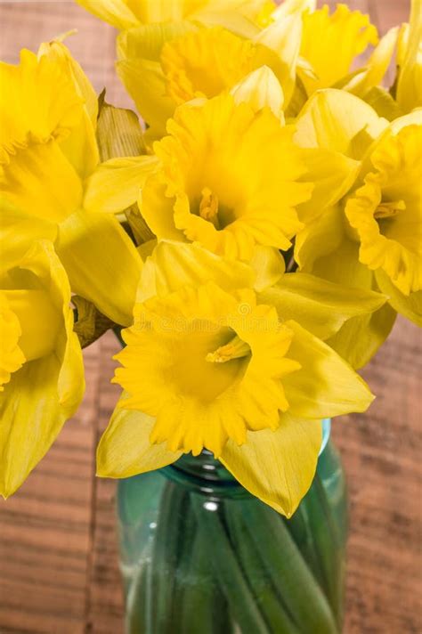 Bouquet Of Yellow Daffodil Flowers In A Jar Stock Image Image Of
