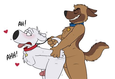 Rule 34 Absurd Res Anal Anthro Brian Griffin Bullet Paradise Pd