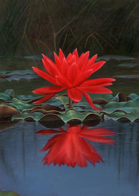Lotus flower is a popular flower in browse millions of popular color wallpapers and ringtones on zedge and personalize your phone to. Red Lotus Flower Wallpapers - Wallpaper Cave