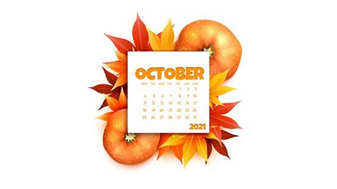 Autumn Leaves Pumpkin October Calendar White Background Hd October
