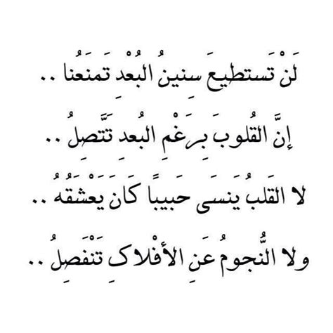 3 قصيدة للشاعر معز عمر بخيت: شعر غزل فصيح , ابيات شعرية جميلة ومتنوعة - مساء الخير