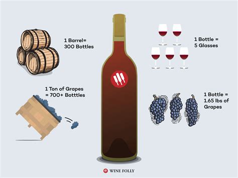 How Many Glasses In A Bottle Of Wine Wine Folly