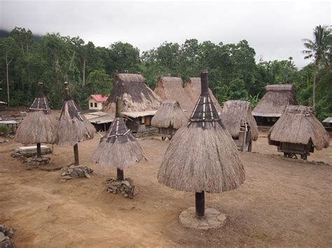 Bajawa Flores Indonesia Day Trip Volcanoes Traditional Villages And Hot Springs Day