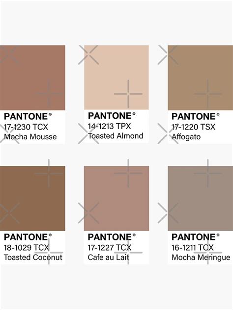 Nudes Pantone Color Swatch Pack Sticker For Sale By Jadeillustrates Redbubble