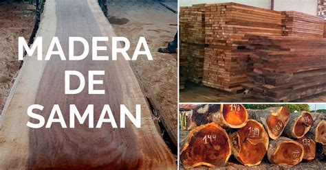 Boleh ke check saman melalui portal mybayarsaman ? MADERA DE SAMAN - Ferraro Wood Specialist