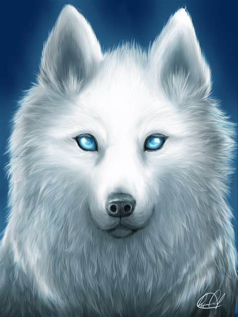 White Wolf With Blue Eyes Wallpapers 4k Hd White Wolf With Blue Eyes