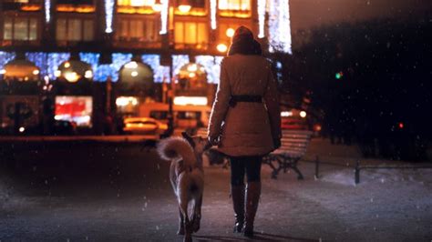 Walking With Your Dog At Night 15 Tips And Precautions Guide Pet
